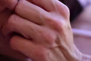 Ava Addams Passion