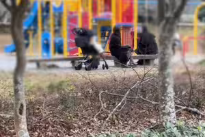 FC2-PPV-4821039 【個人】**友とお〇さんと公園で遊んでいた自称インフルエンサーの奥さんを連れ出し車の中で...～12月31日特典削除