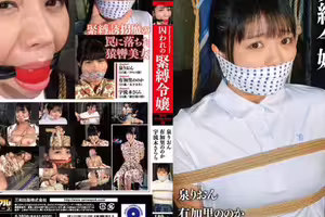 囚犯的束縛做了3