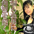 C0930 ki220623 Mr Natsu Who Has A Charming Smile Is A Wife Who Is Erotic And Has A Good Taste